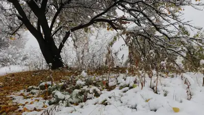 Zakon.kz, фото - Новости Zakon.kz от 10.11.2021 01:40