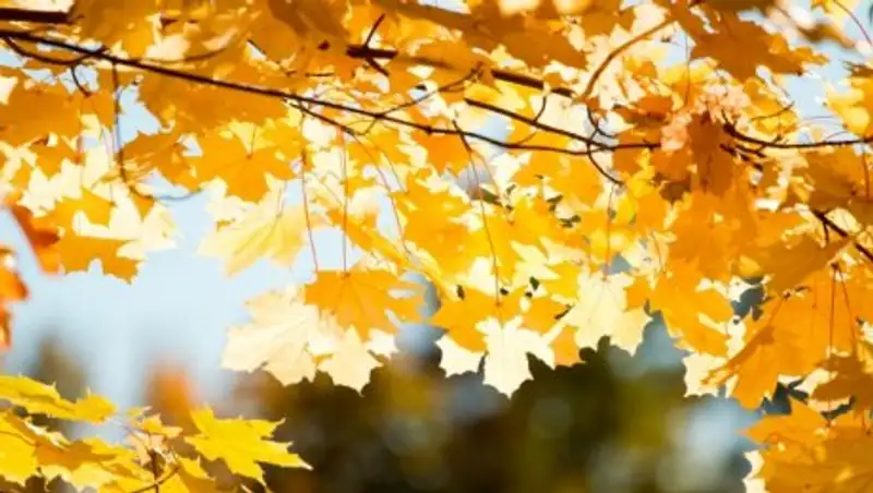 Погода без осадков ожидается в четверг по Казахстану