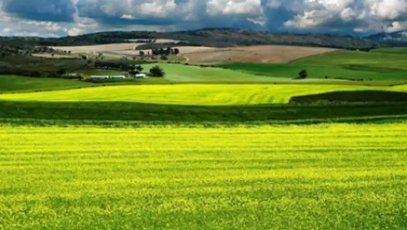 В Минсельхозе рассказали об условиях изъятия земель под госнужды