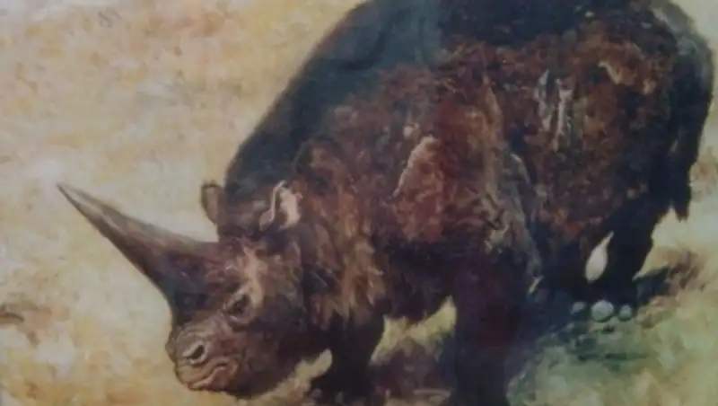 &#1240;лемдегі е&#1187; жас м&#1199;йізт&#1201;мсы&#1179;ты&#1187; &#1179;а&#1187;&#1179;асы Павлодар облысында табылды