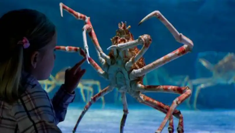 15 невообразимо громадных животных, которые на самом деле существуют