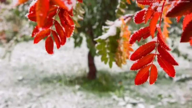 В Алматы объявили штормовое предупреждение