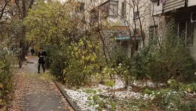 Zakon.kz, фото - Новости Zakon.kz от 30.10.2014 14:57