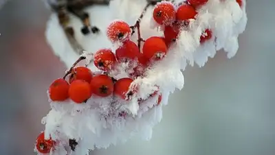 Zakon.kz, фото - Новости Zakon.kz от 22.11.2015 12:02