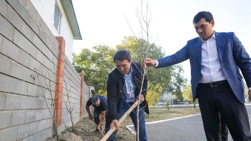 В Алматинской области за день высадили около 29 тысяч саженцев