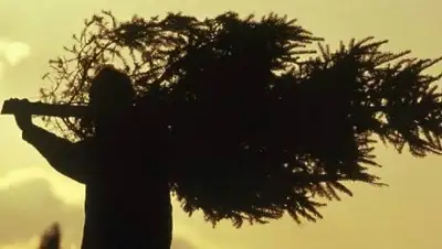 Zakon.kz, фото - Новости Zakon.kz от 28.12.2016 20:03