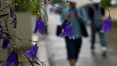 Zakon.kz, фото - Новости Zakon.kz от 07.06.2017 20:36