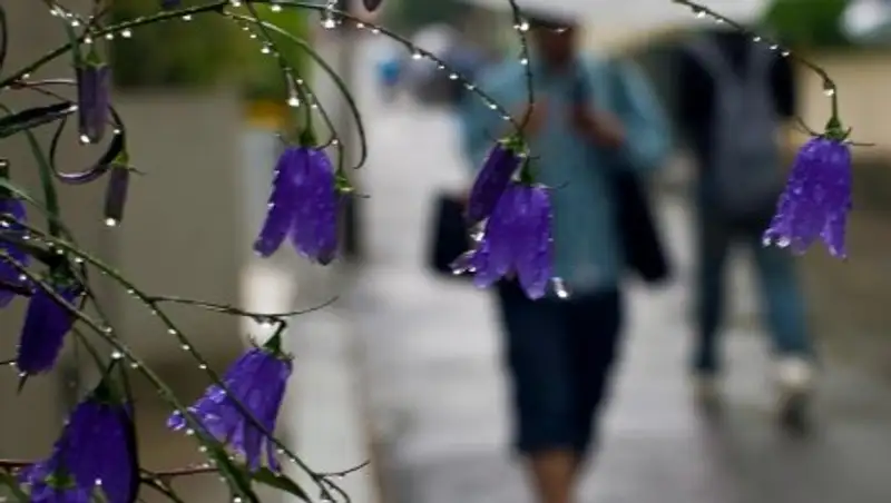 Прохладная погода с частыми дождями ожидается в Казахстане