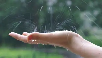 today.kz, фото - Новости Zakon.kz от 20.07.2018 12:06