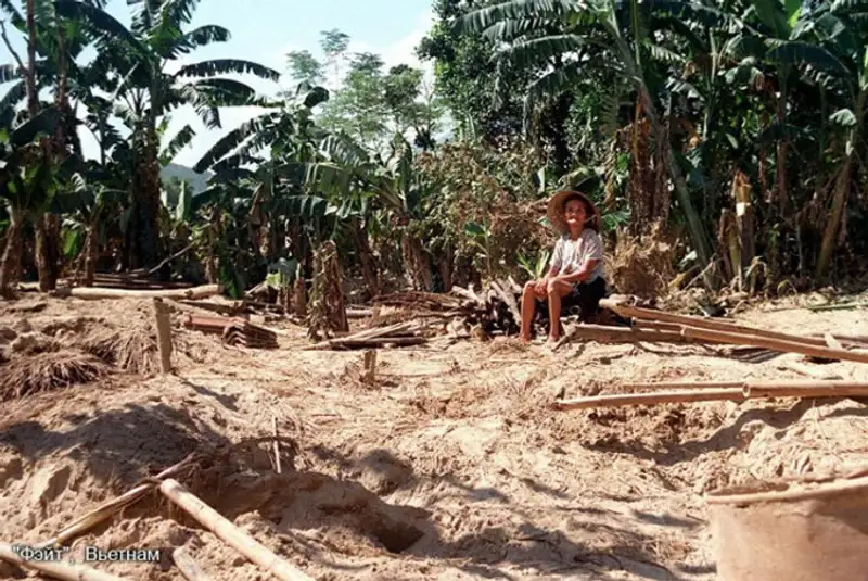 Тропик смерти: самые разрушительные тайфуны в истории человечества Тропик смерти: самые разрушительные тайфуны в истории человечества, фото - Новости Zakon.kz от 11.11.2013 18:01