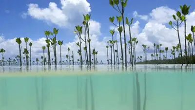 Zakon.kz, фото - Новости Zakon.kz от 22.08.2017 21:58