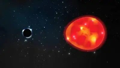 Lauren Fanfer, фото - Новости Zakon.kz от 22.04.2021 19:50