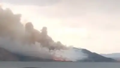 кадр видео, фото - Новости Zakon.kz от 06.08.2018 16:46