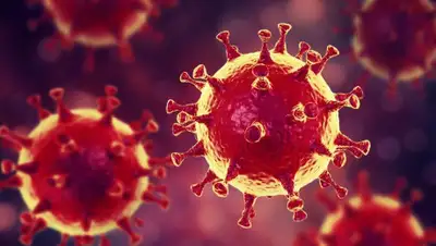 ВВС, фото - Новости Zakon.kz от 08.05.2020 06:56