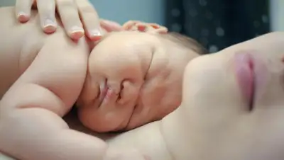 pixabay.com, фото - Новости Zakon.kz от 20.09.2019 22:35