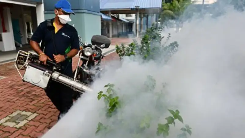 Число заразившихся вирусом Зика в Сингапуре достигло 355 человек