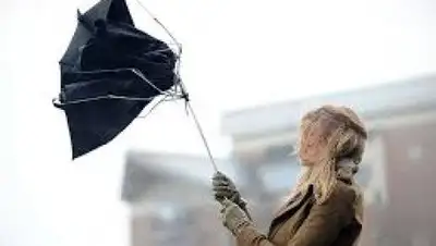 NewsRoyal.com, фото - Новости Zakon.kz от 25.07.2018 19:12