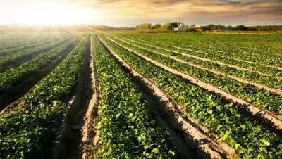 Itbu.ru, фото - Новости Zakon.kz от 15.10.2018 12:11