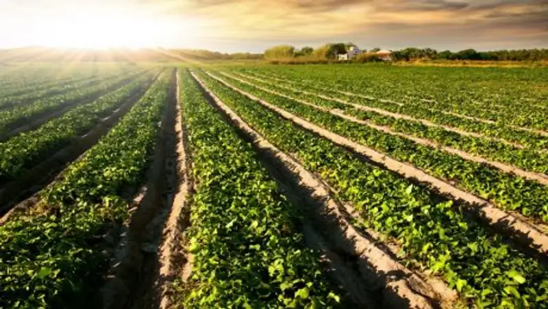 Грубейшие нарушения с землей выявлены в Атырауской области