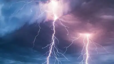 24.kz, фото - Новости Zakon.kz от 19.08.2020 19:26