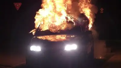 pixabay.com, фото - Новости Zakon.kz от 21.02.2019 17:08