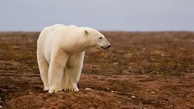 Zakon.kz, фото - Новости Zakon.kz от 15.10.2014 01:58