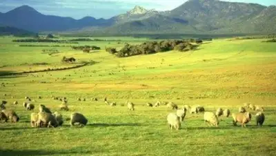 Zakon.kz, фото - Новости Zakon.kz от 13.07.2015 22:38