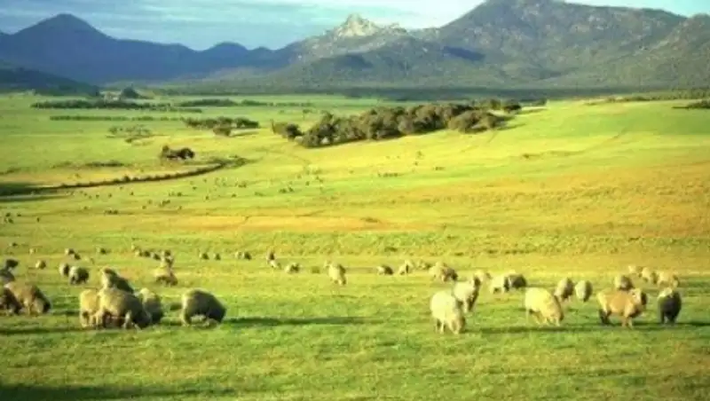 На одном из пастбищ Мангистауской области обнаружен труп мальчика