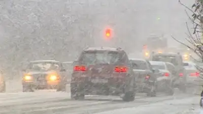 БезФормата.Ru, фото - Новости Zakon.kz от 13.03.2018 21:36