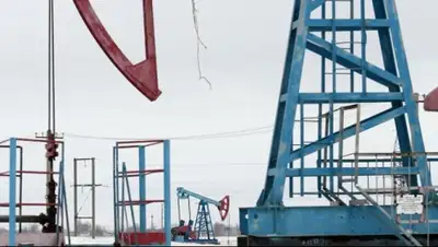 Zakon.kz, фото - Новости Zakon.kz от 07.04.2016 18:01