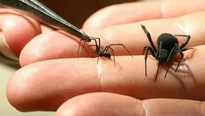 Zakon.kz, фото - Новости Zakon.kz от 10.07.2017 22:51