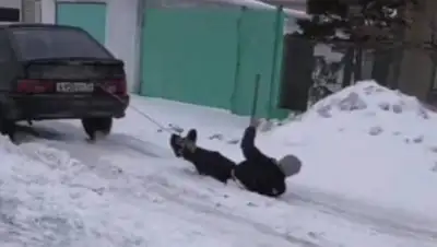 pavon.kz, фото - Новости Zakon.kz от 25.02.2021 14:40