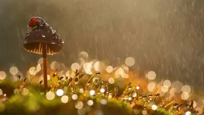 Zakon.kz, фото - Новости Zakon.kz от 07.06.2017 12:00