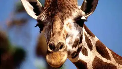 Zakon.kz, фото - Новости Zakon.kz от 14.02.2014 18:39