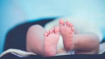 pixabay.com, фото - Новости Zakon.kz от 05.10.2021 16:34