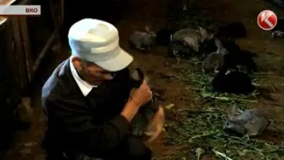 Zakon.kz, фото - Новости Zakon.kz от 14.06.2016 04:10