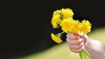 смерть ребенок детсад Нур-Султан, фото - Новости Zakon.kz от 09.08.2022 11:05