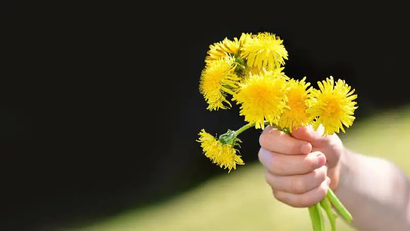 Девочка скончалась в детсаду Нур-Султана: она утонула