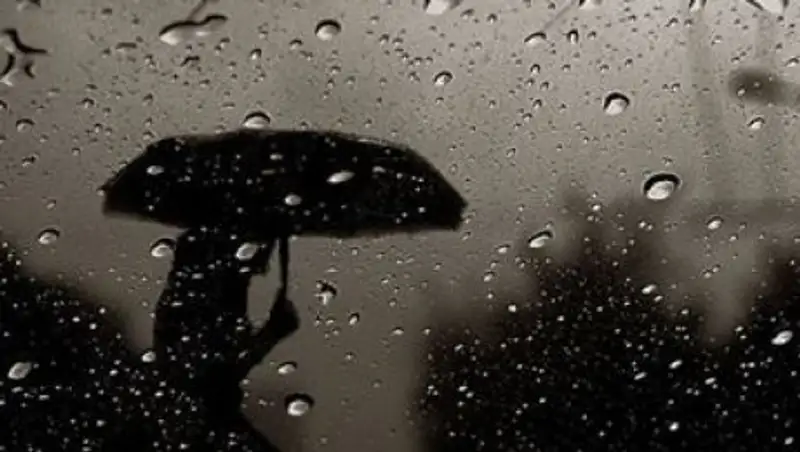 В ближайшие дни по республике пройдут дожди с грозами