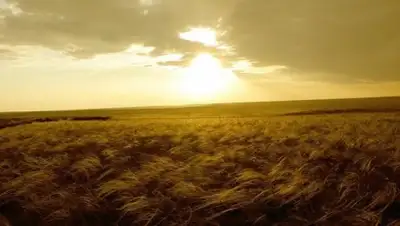 Zakon.kz, фото - Новости Zakon.kz от 03.11.2016 13:04