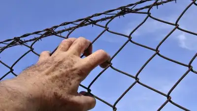 Pixabay, фото - Новости Zakon.kz от 07.02.2019 10:04