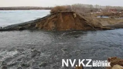 Zakon.kz, фото - Новости Zakon.kz от 16.08.2017 23:21