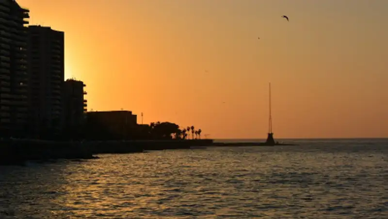 Глава порта Бейрута заявил, что склада пиротехники у места взрыва не было