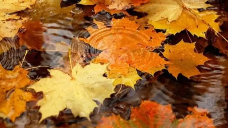 Погода без осадков ожидается на большей части Казахстана