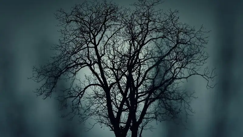 В нескольких городах Казахстана прогнозируют неблагоприятные метеоусловия