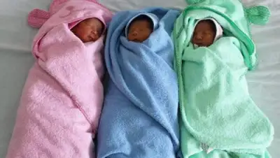 Zakon.kz, фото - Новости Zakon.kz от 01.06.2015 22:31