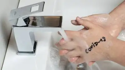 Pixabay, фото - Новости Zakon.kz от 29.12.2020 00:26