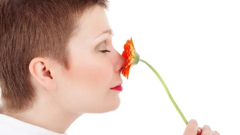 Врач оценил популярный способ уменьшения носа без операции