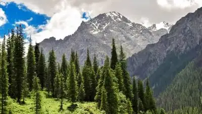 pixabay, фото - Новости Zakon.kz от 06.09.2021 11:38