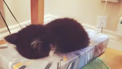 Zakon.kz, фото - Новости Zakon.kz от 18.01.2016 20:51